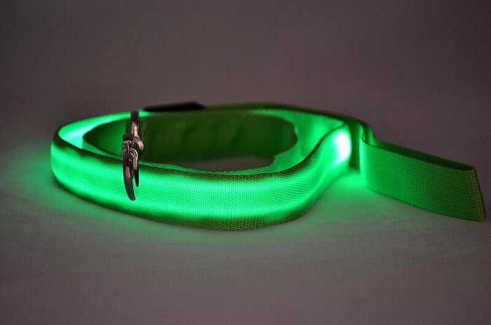 LED Dog Leash – Safe Night Walks